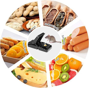 Heavy Duty Plastic Mouse Trap (random Color)
